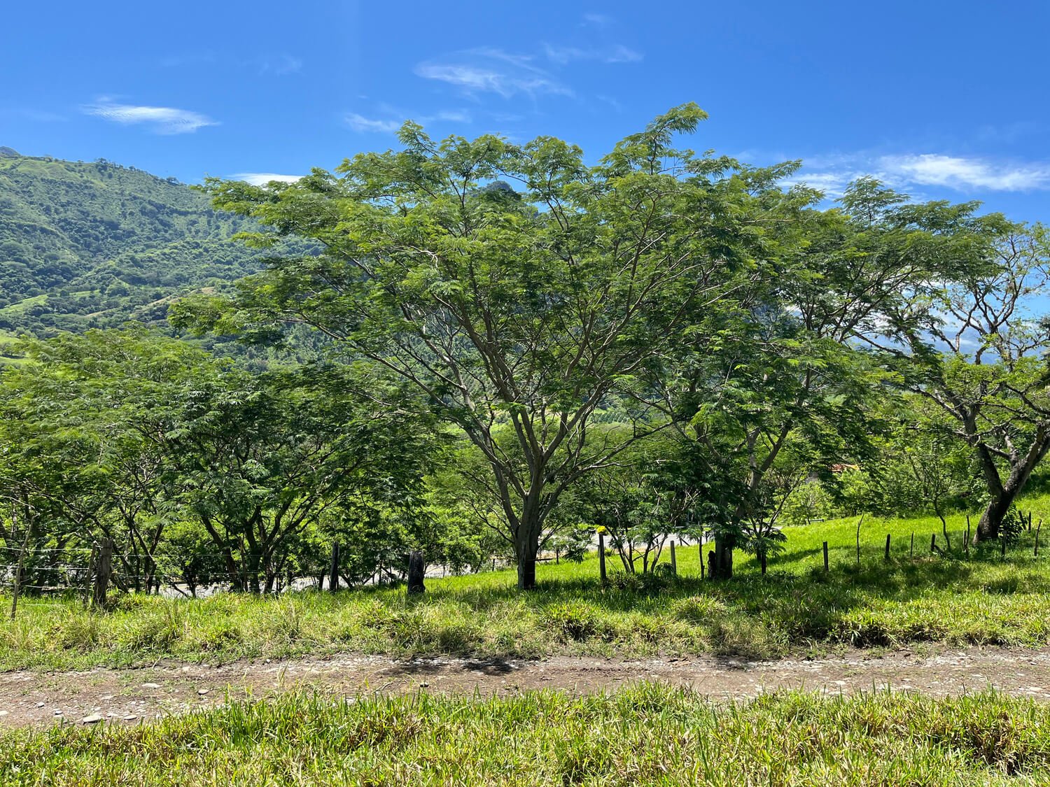 Finca en Tarso