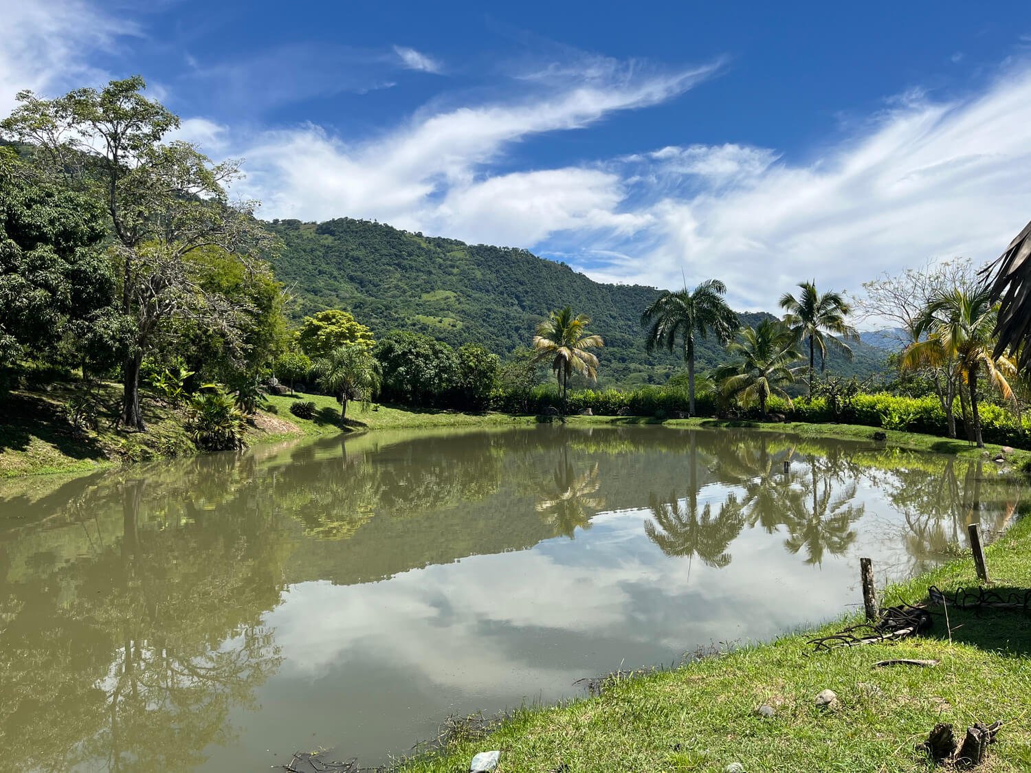 Finca en Tarso