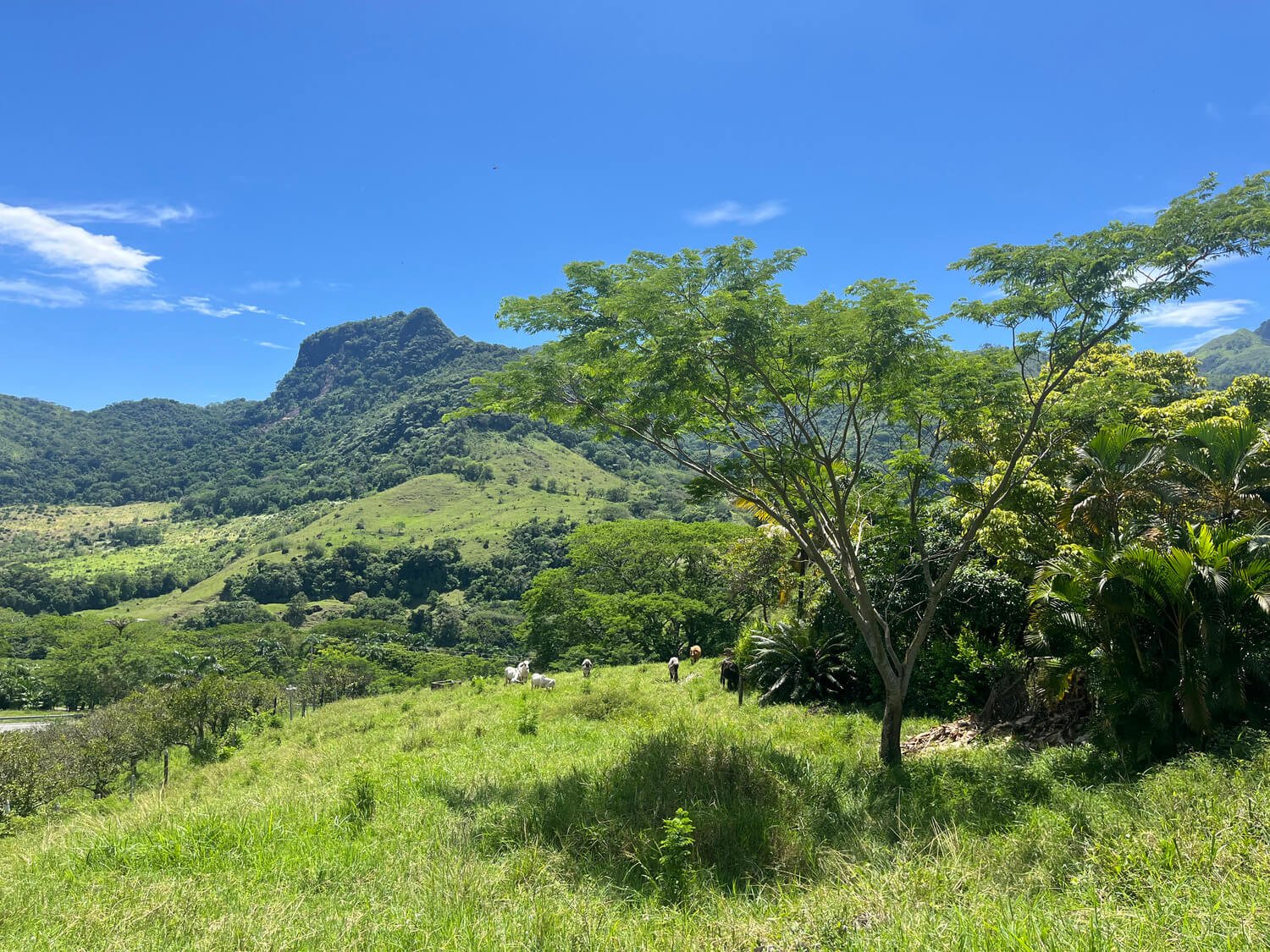 Finca en Tarso
