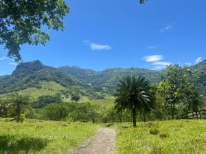 Finca en Tarso