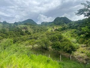 Finca en Tarso