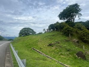 Finca en Tarso