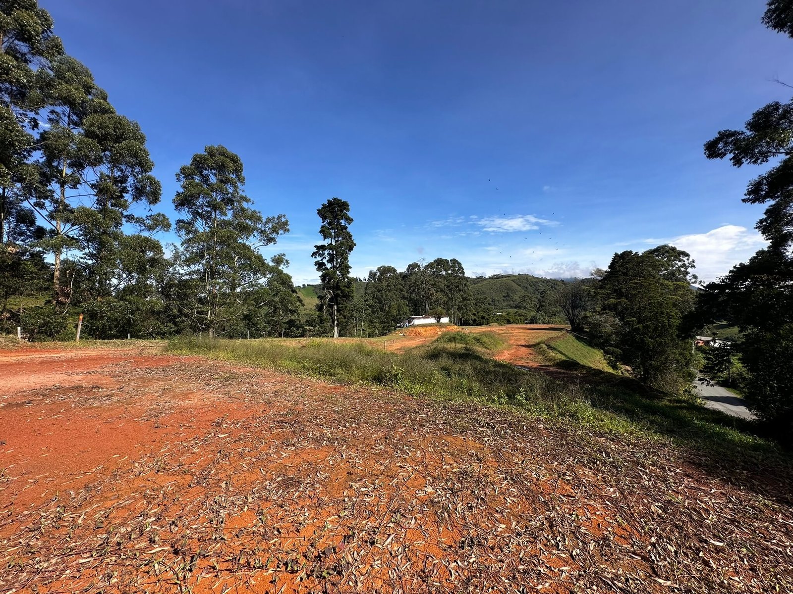 Lote industrial Caldas