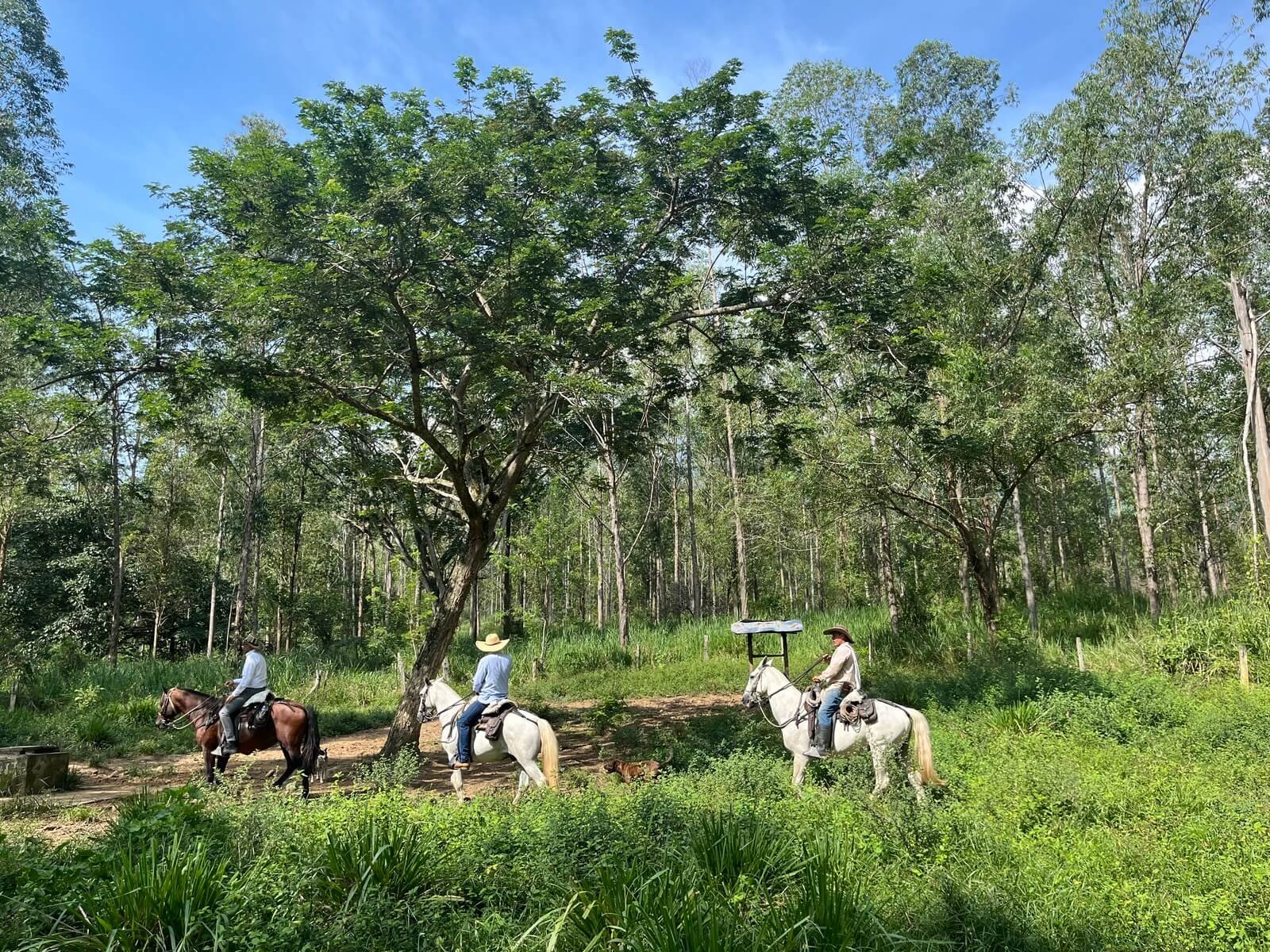 Hacienda en Jericó