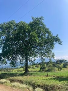 Lote Parcelación Terra Viva