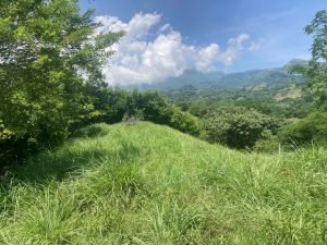 Lote Naranjales de Cauca Viejo