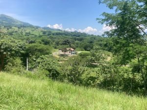 Lote Naranjales de Cauca Viejo