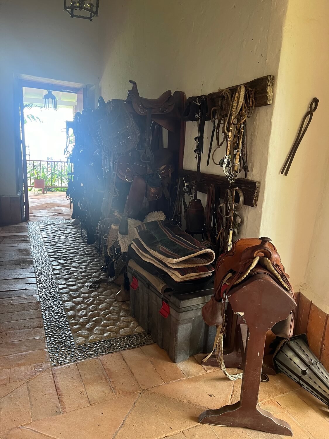 Finca en Fredonia