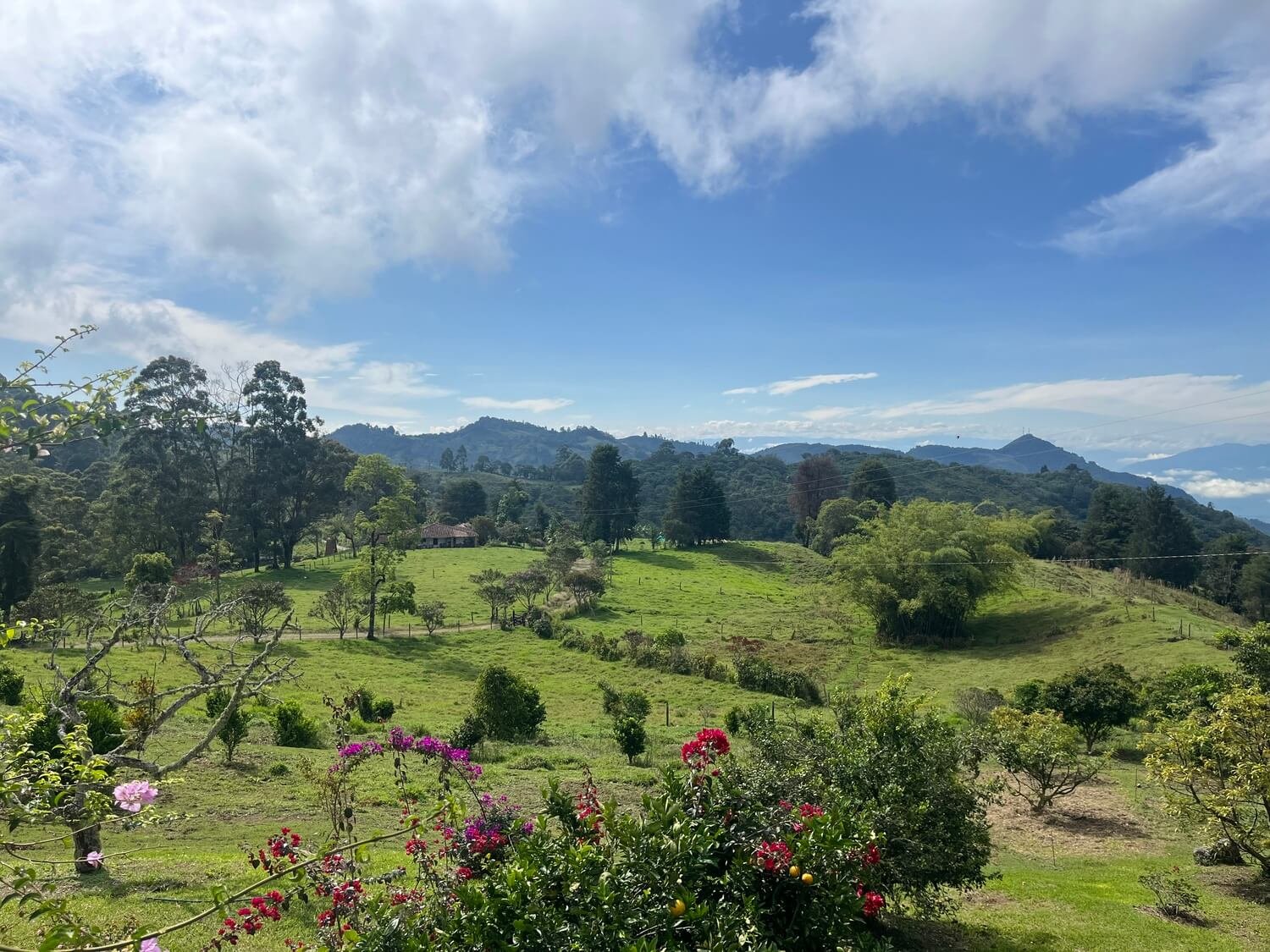 Finca en Fredonia