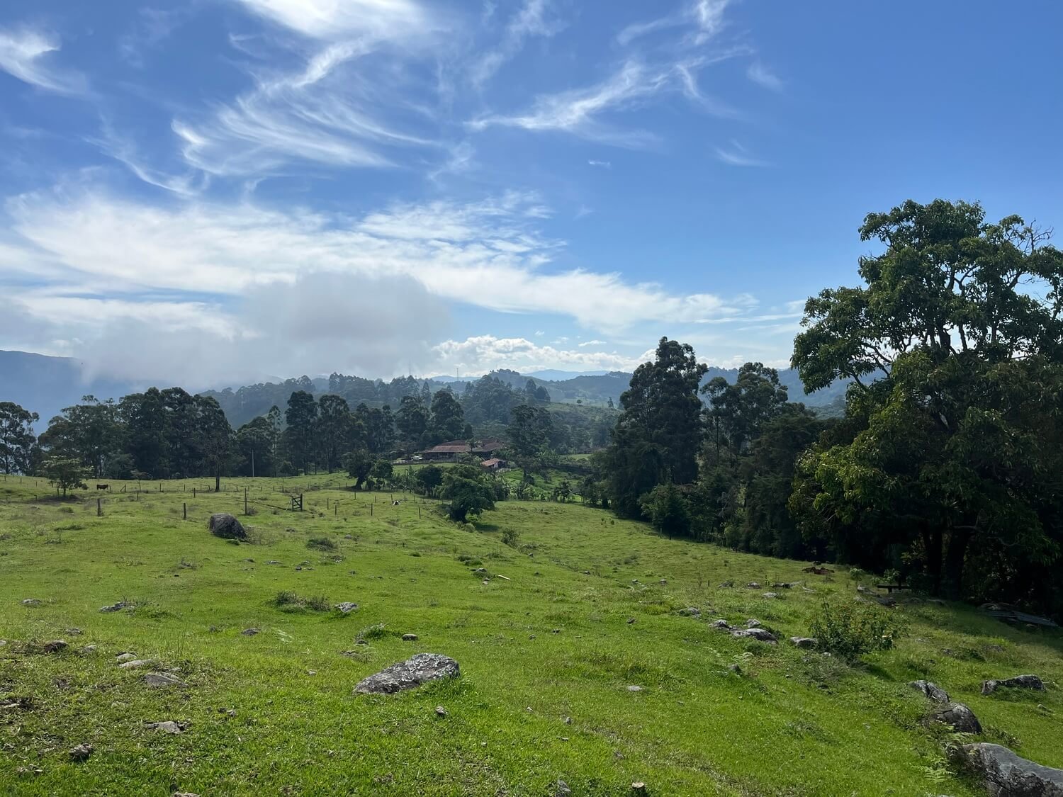 Finca en Fredonia