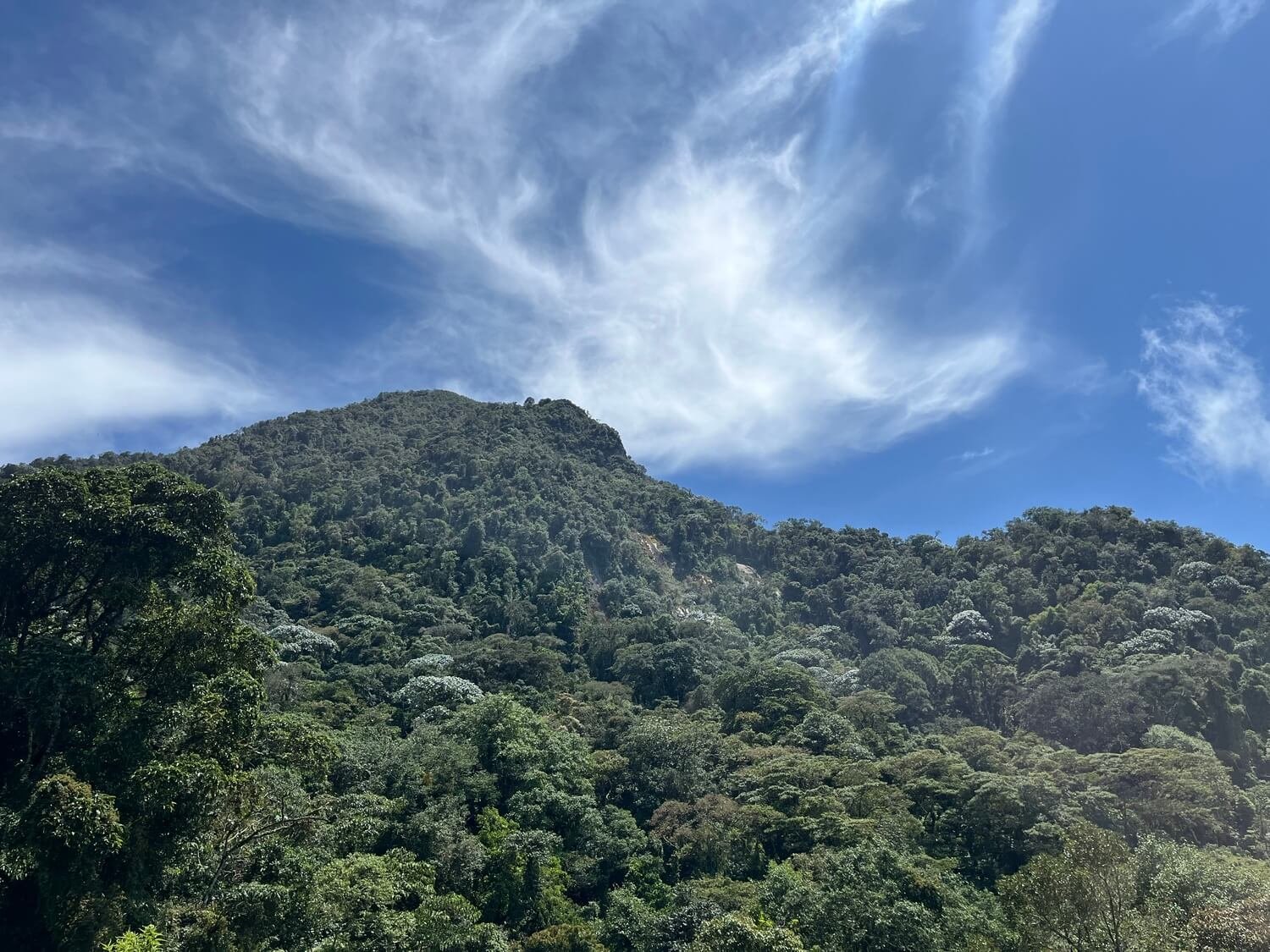 Finca en Fredonia