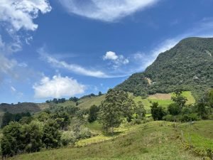 Finca en Fredonia