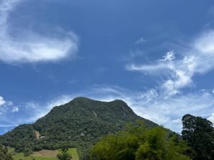 Finca en Fredonia