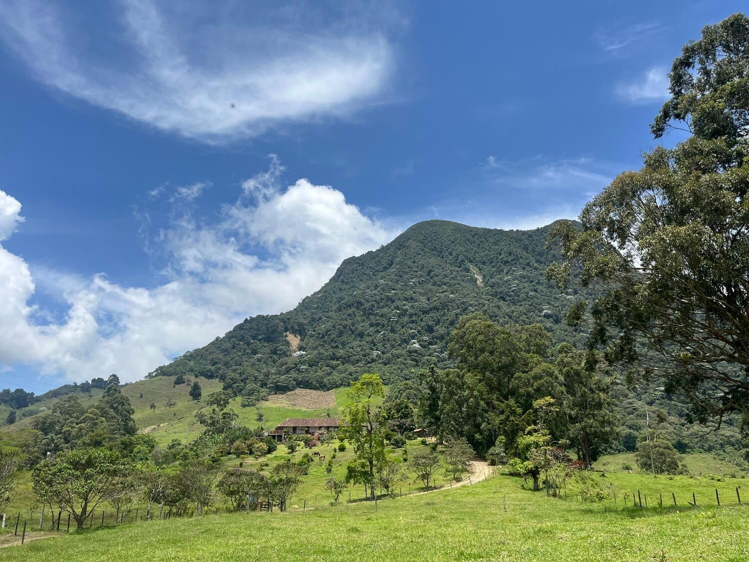 Finca en Fredonia