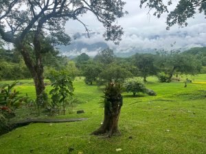 Finca en fredonia