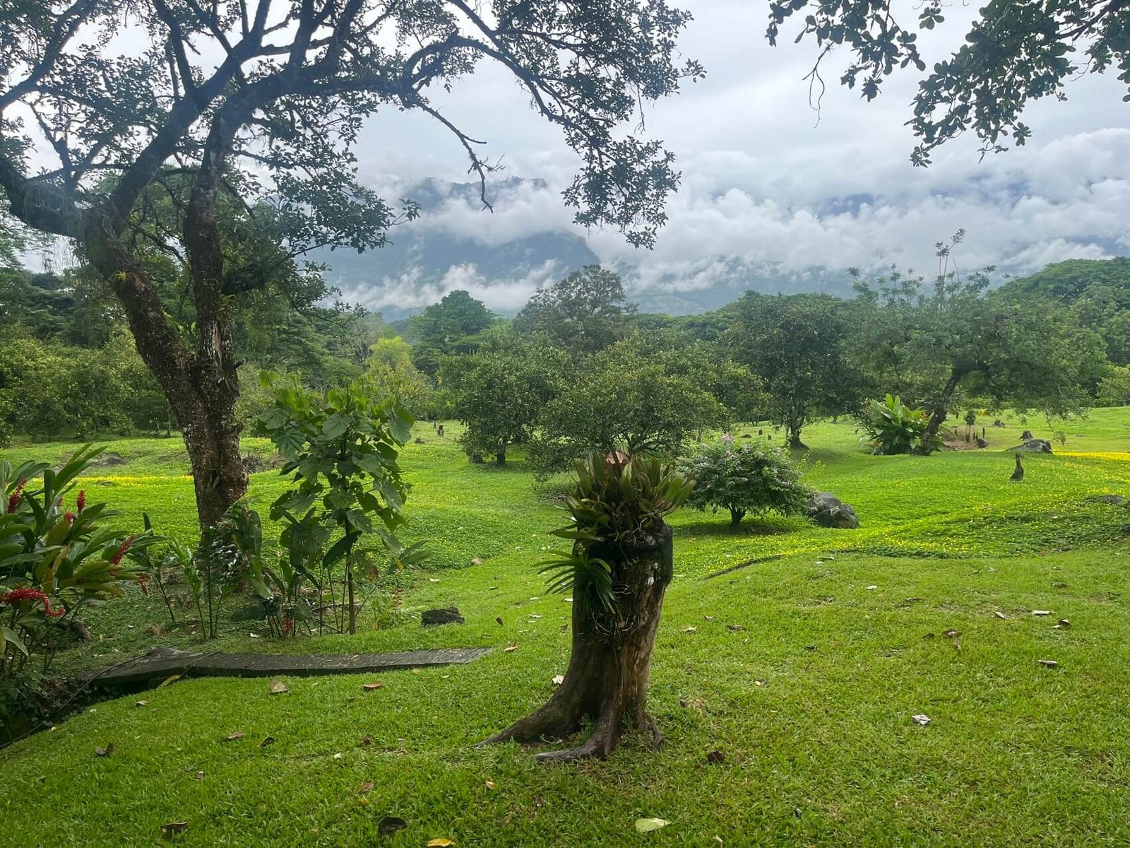 Finca en fredonia
