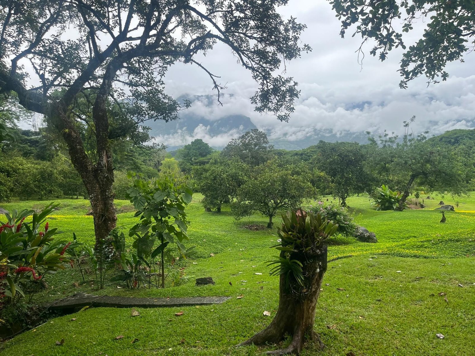 Finca en fredonia
