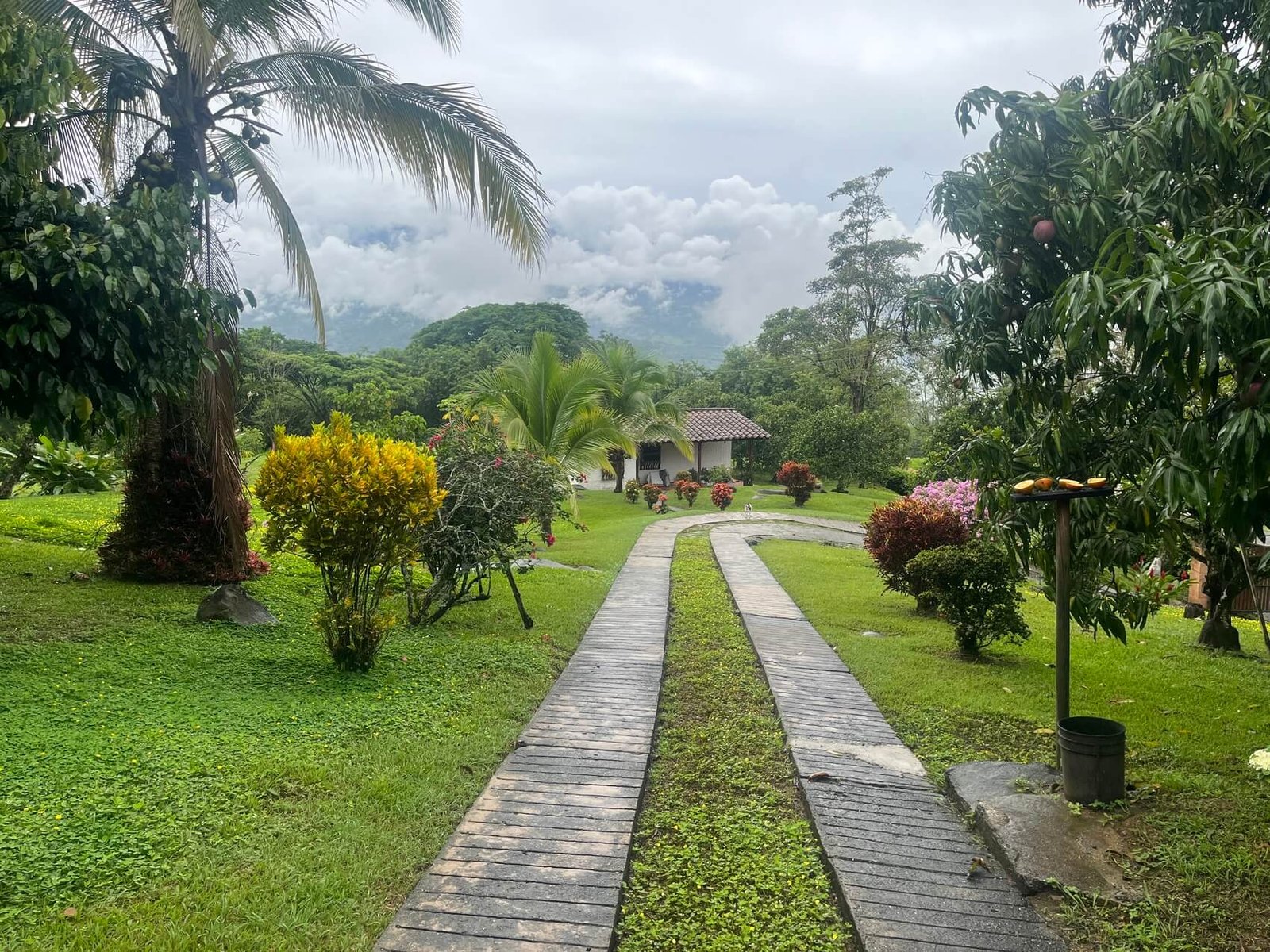 Finca en fredonia