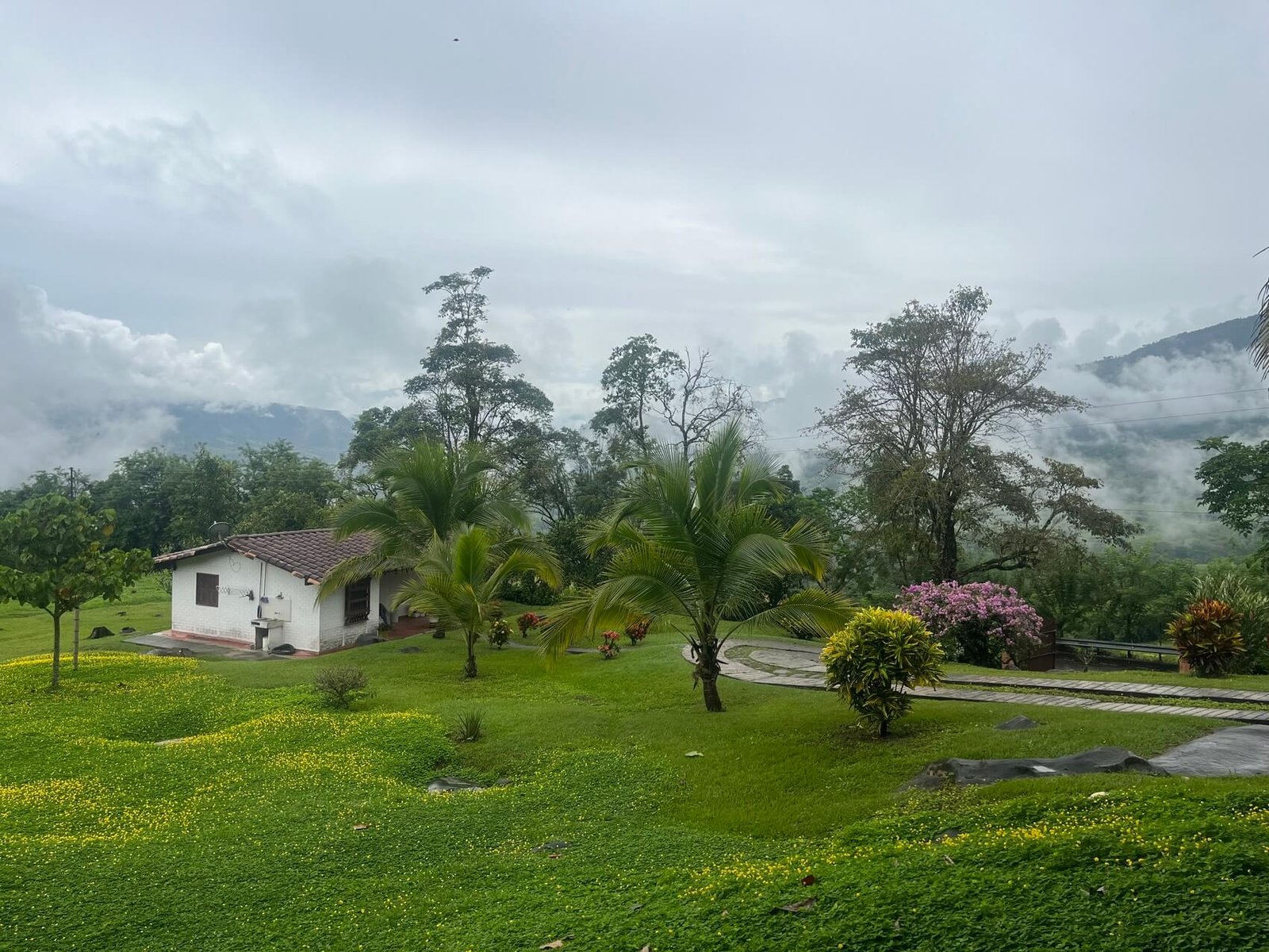 Finca en fredonia
