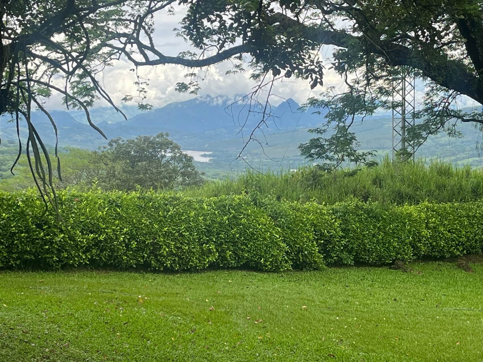 Finca en fredonia