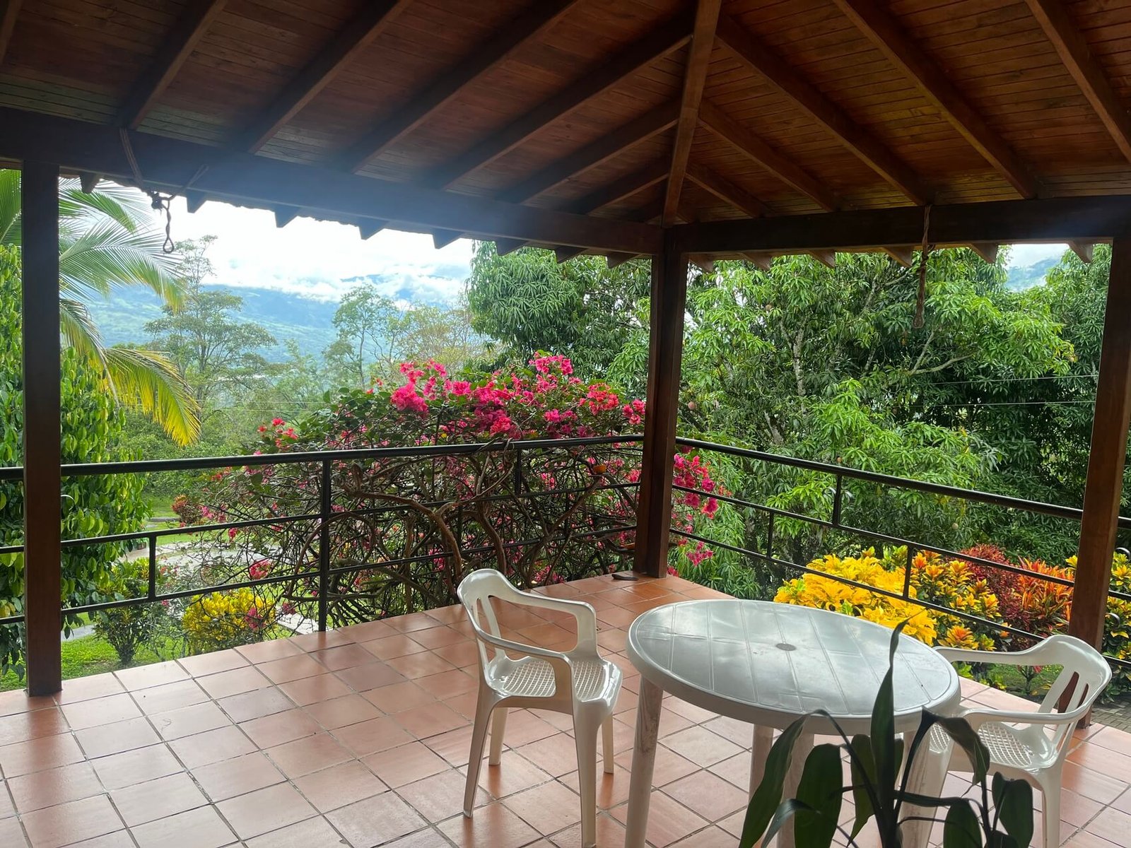 Finca en fredonia