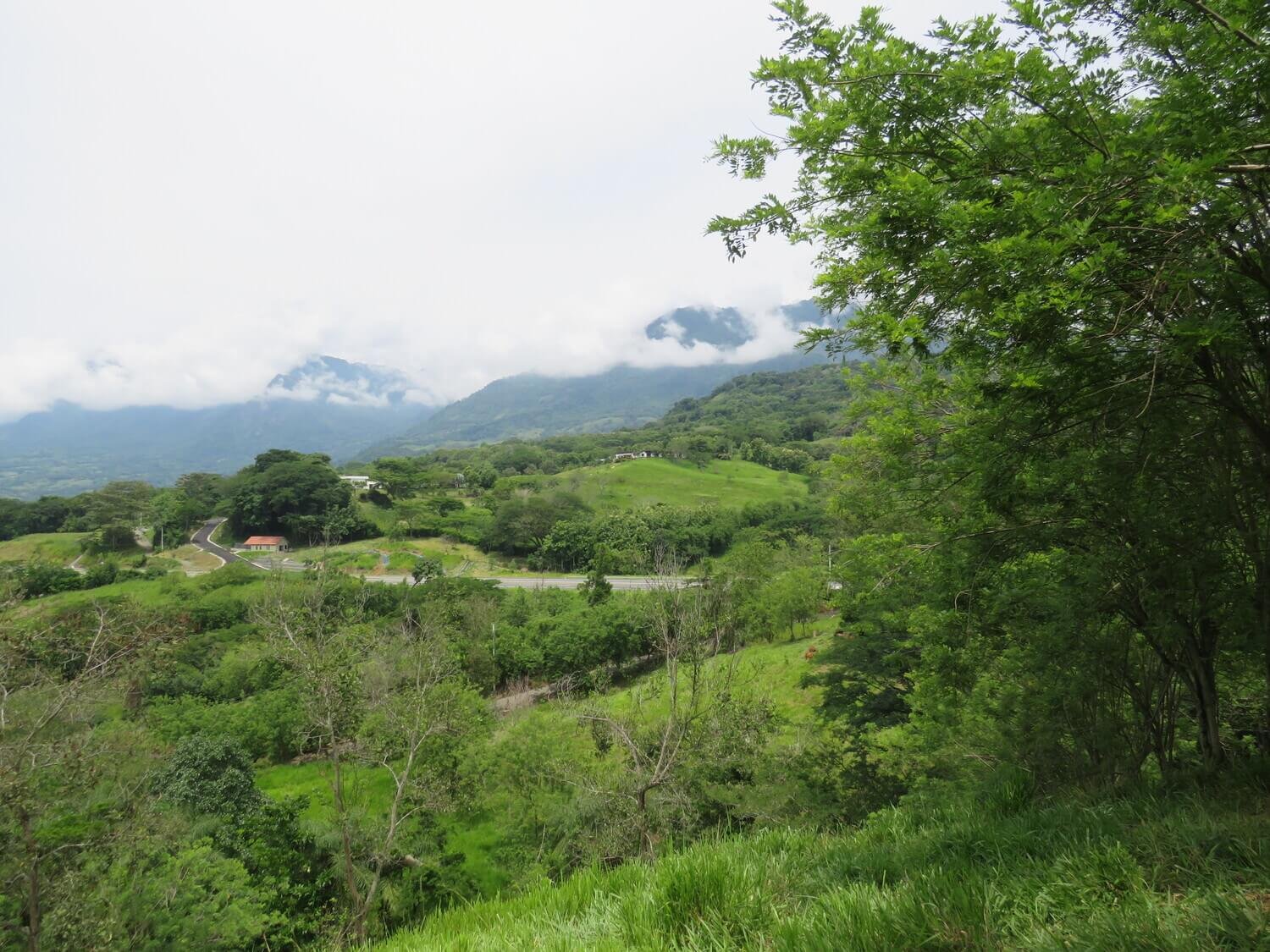Finca en Jericó