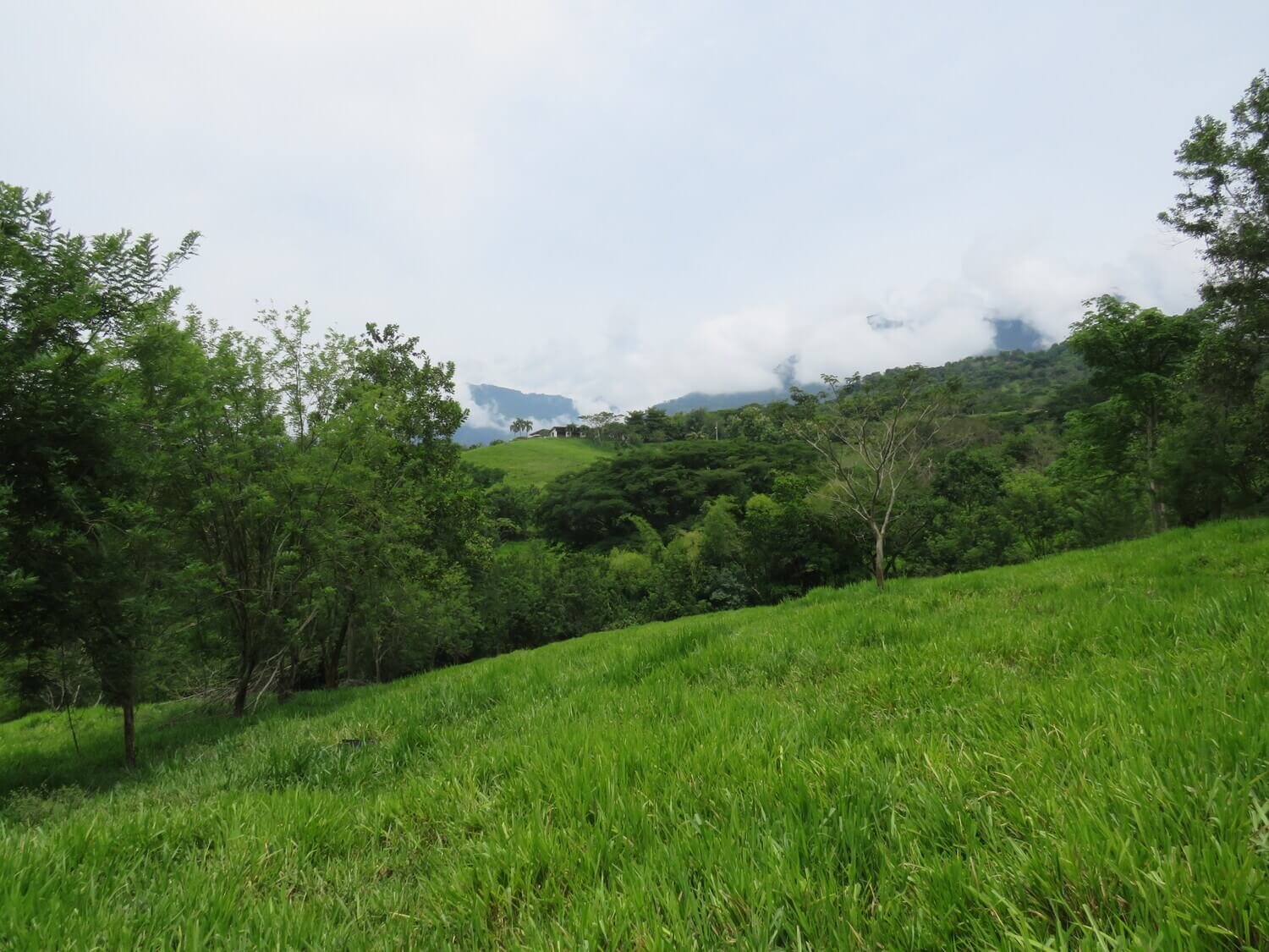 Finca en Jericó