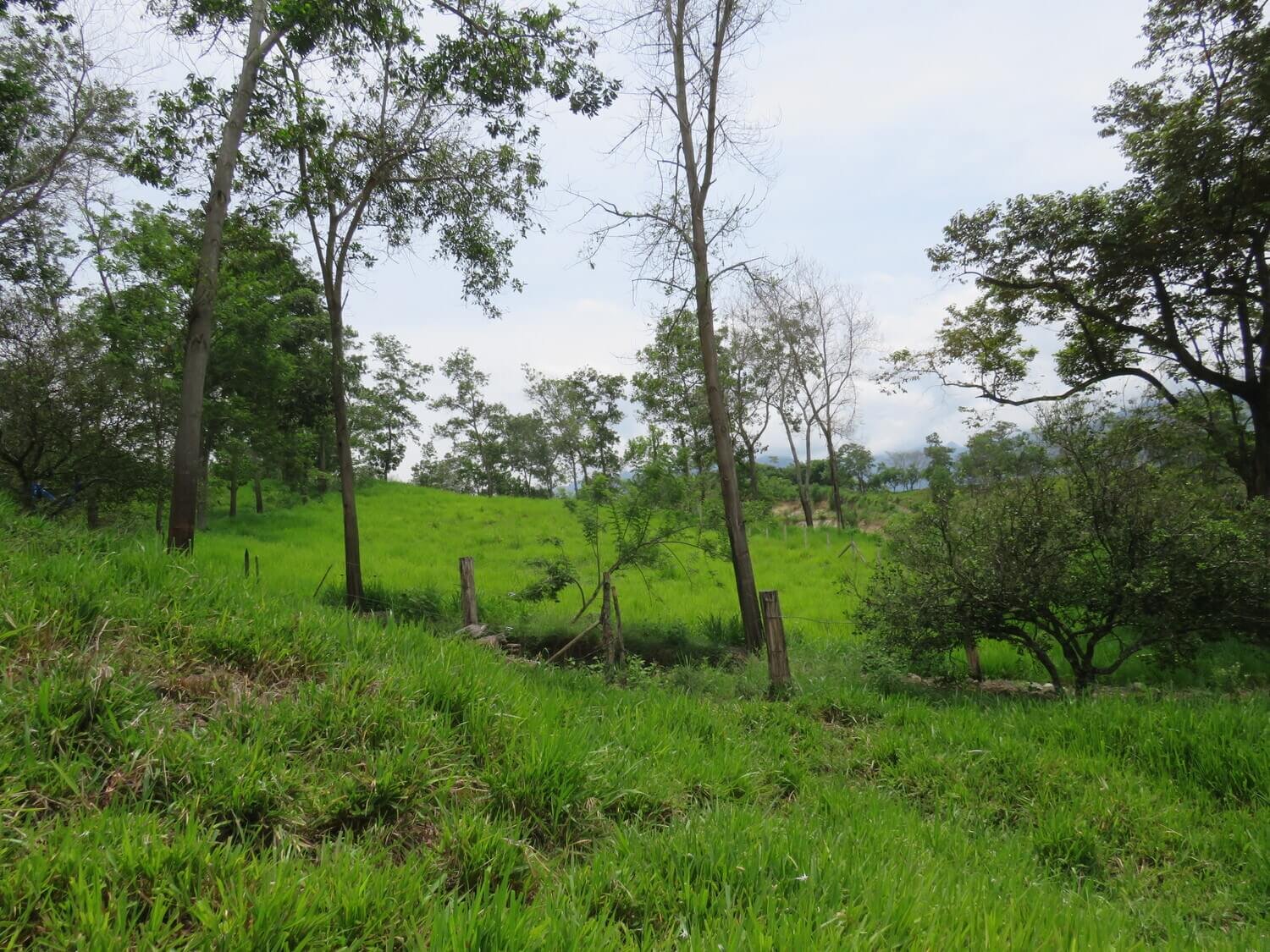 Finca en Jericó