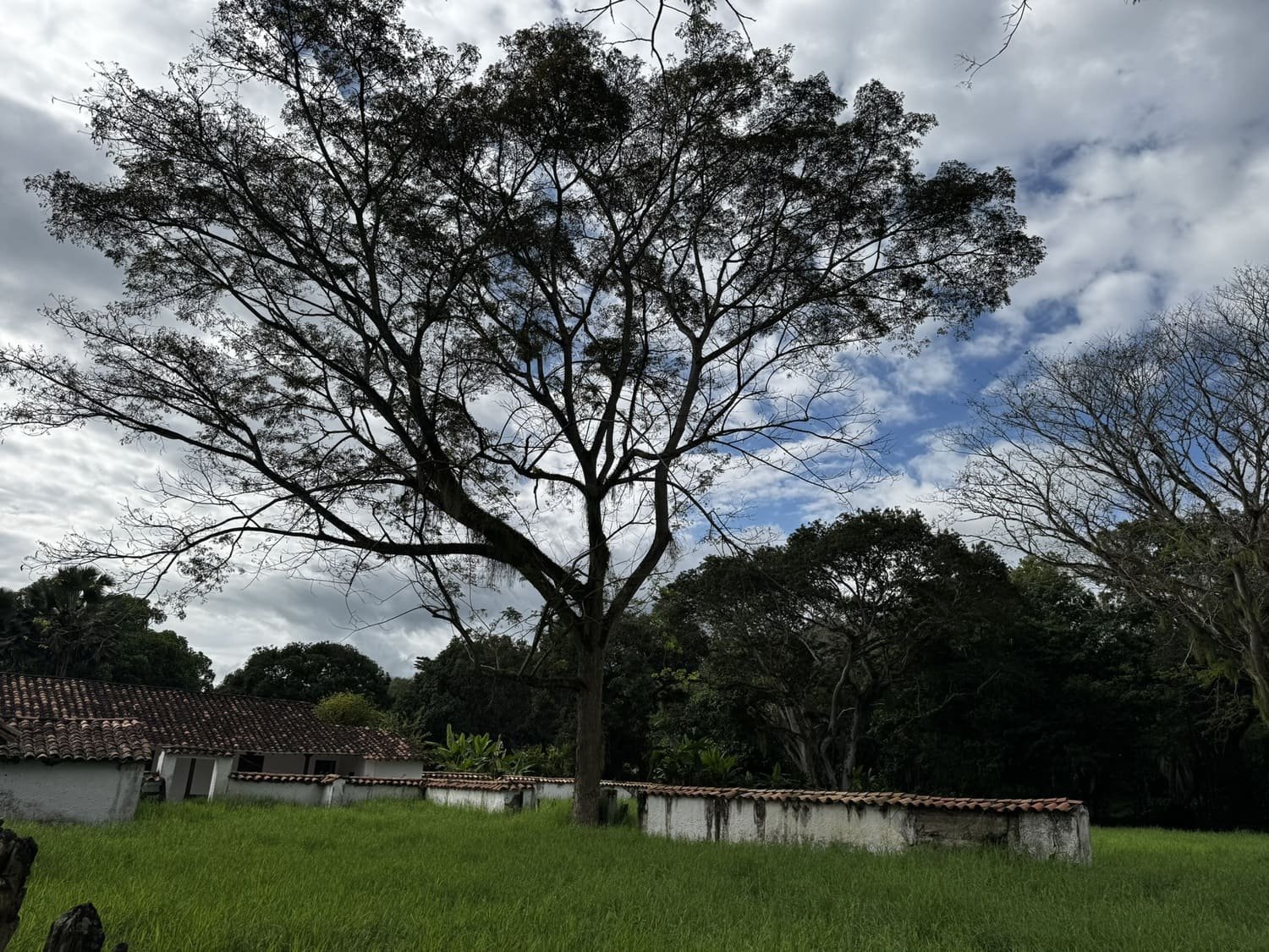 Hacienda en Támesis