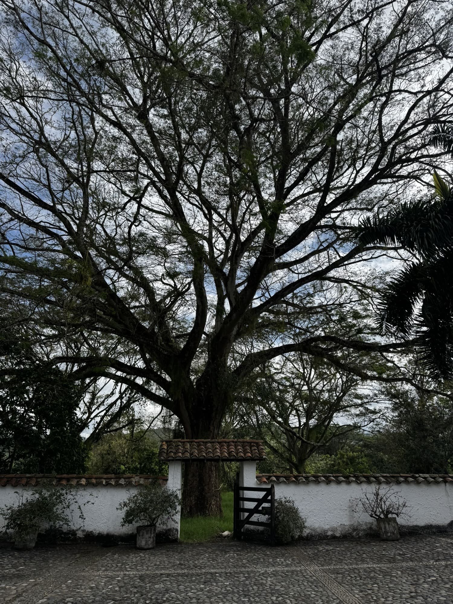 Hacienda en Támesis