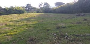 Lote Camino del Cartama