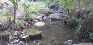 Lote Camino del Cartama