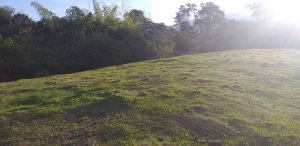 Lote Camino del Cartama