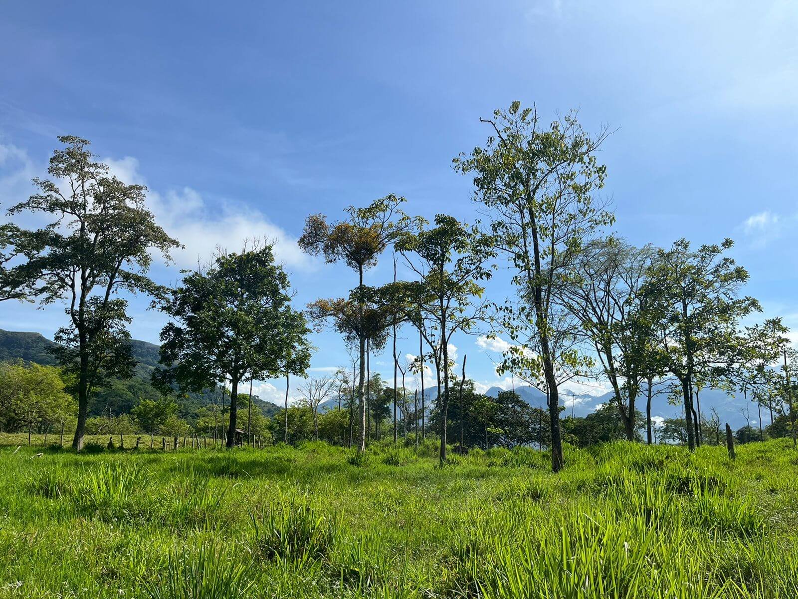 Finca en Tarso