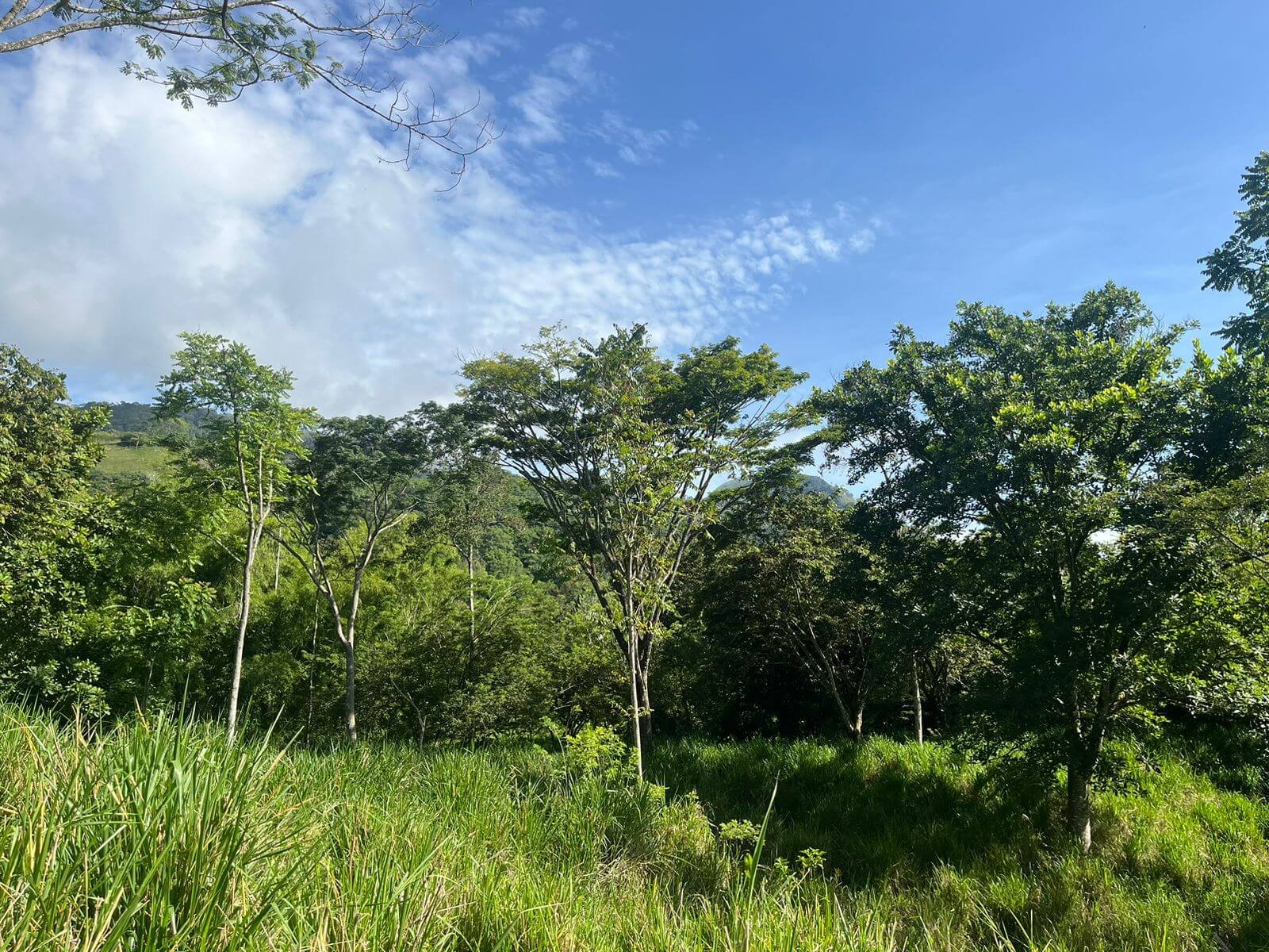 Finca en Tarso