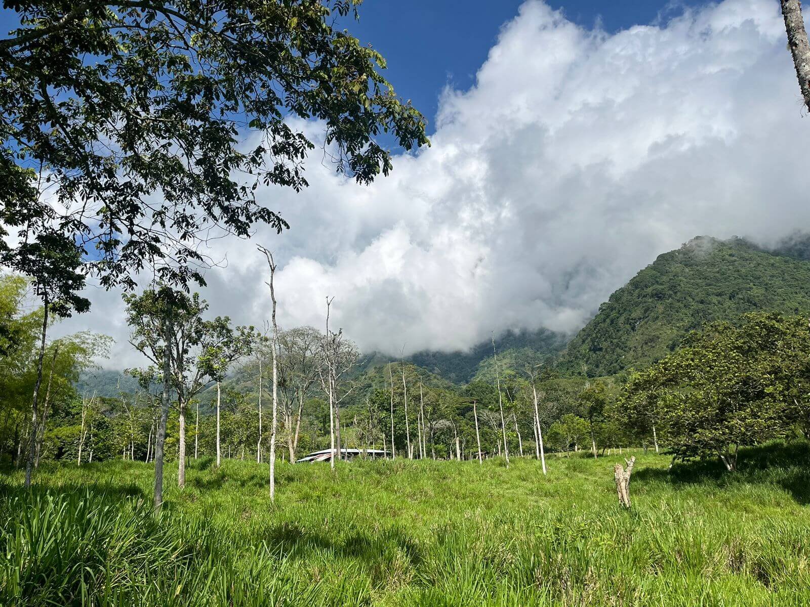 Finca en Tarso