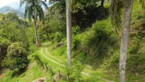 Finca en Tarso