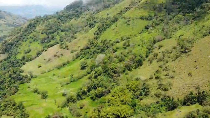 Finca en Tarso