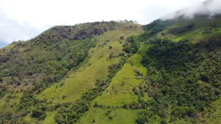 Finca en Tarso