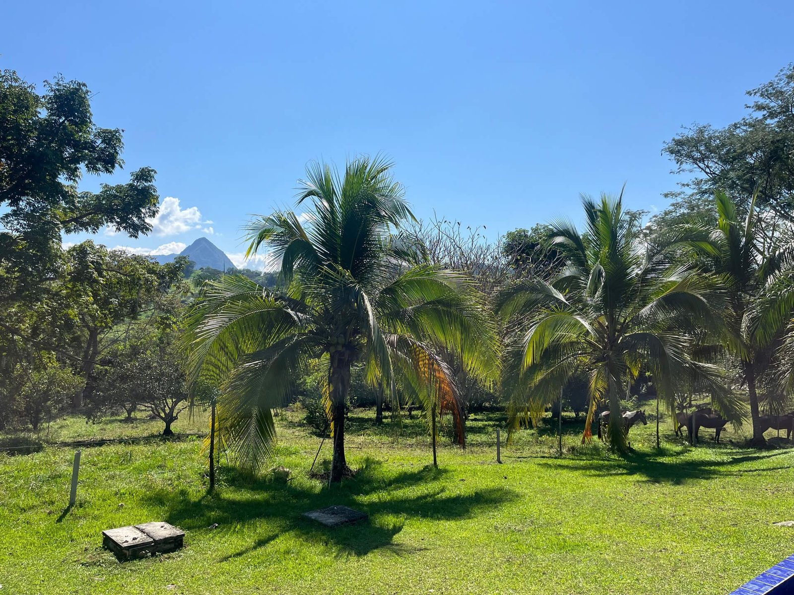 Lote Mesa Guamo