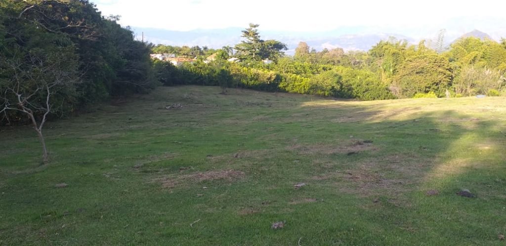 Lote Camino del Cartama