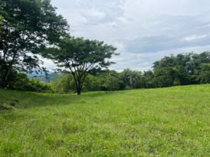 Lote Parcelación Los Búcaros