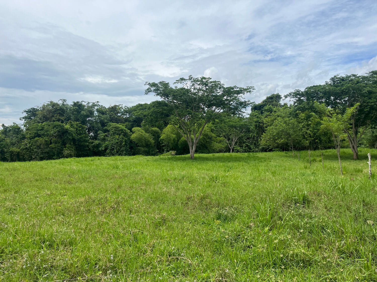Lote Parcelación Los Búcaros