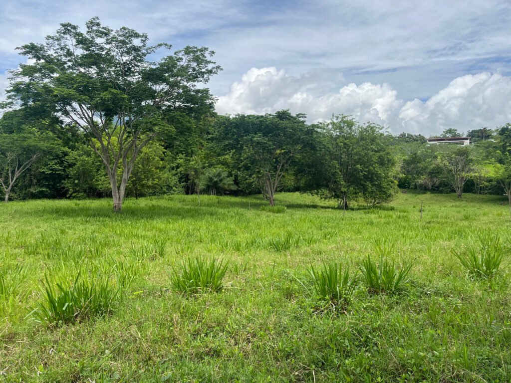 Lote Parcelación Los Búcaros
