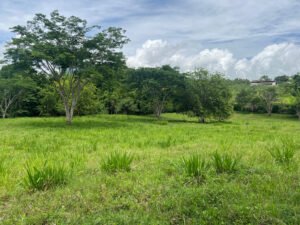 Lote Parcelación Los Búcaros