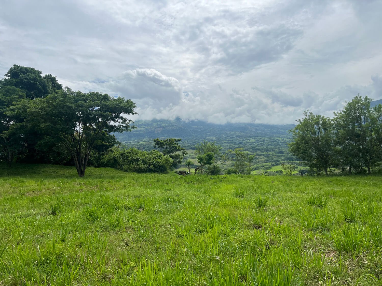 Lote Parcelación Los Búcaros