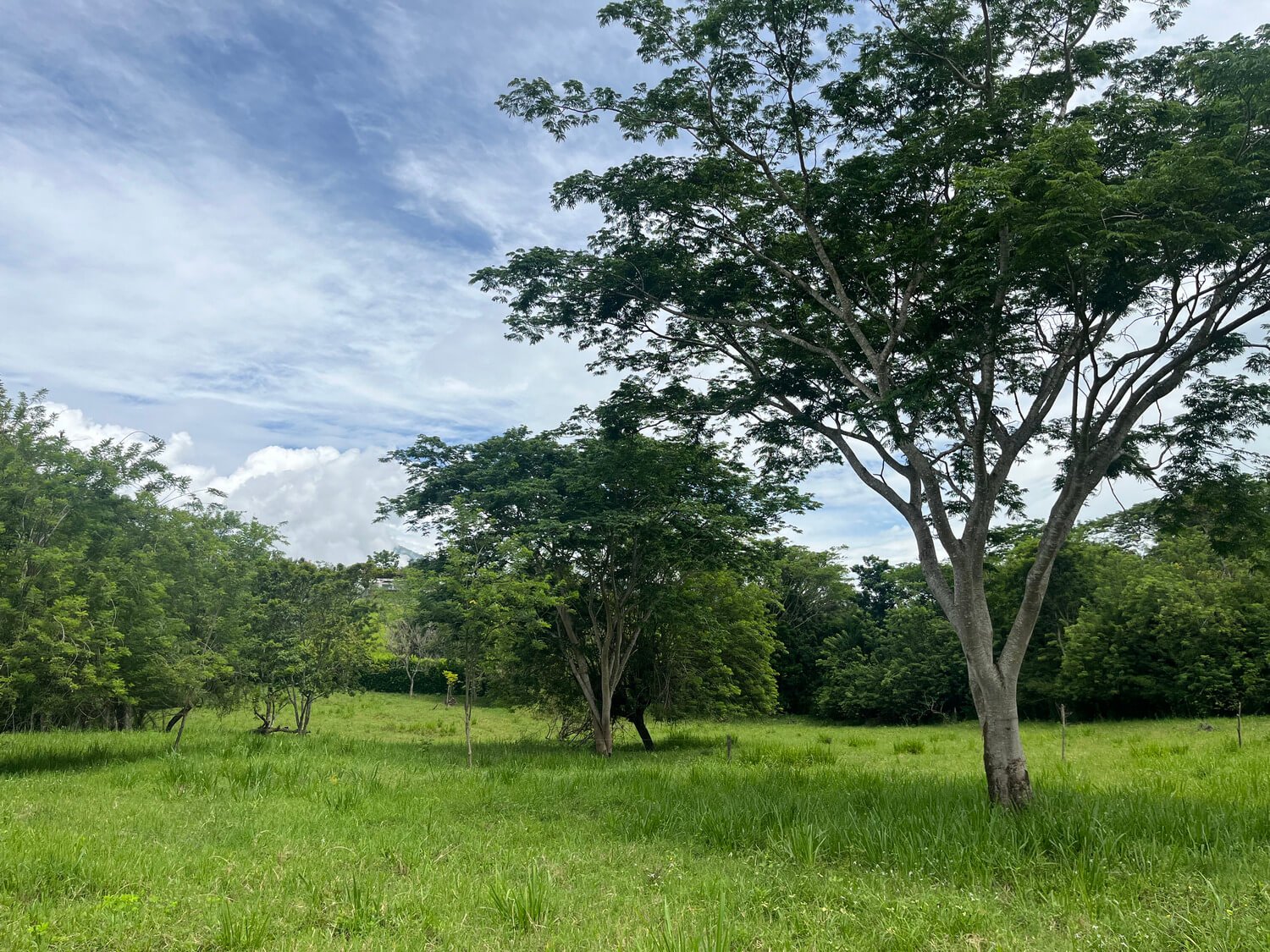 Lote Parcelación Los Búcaros
