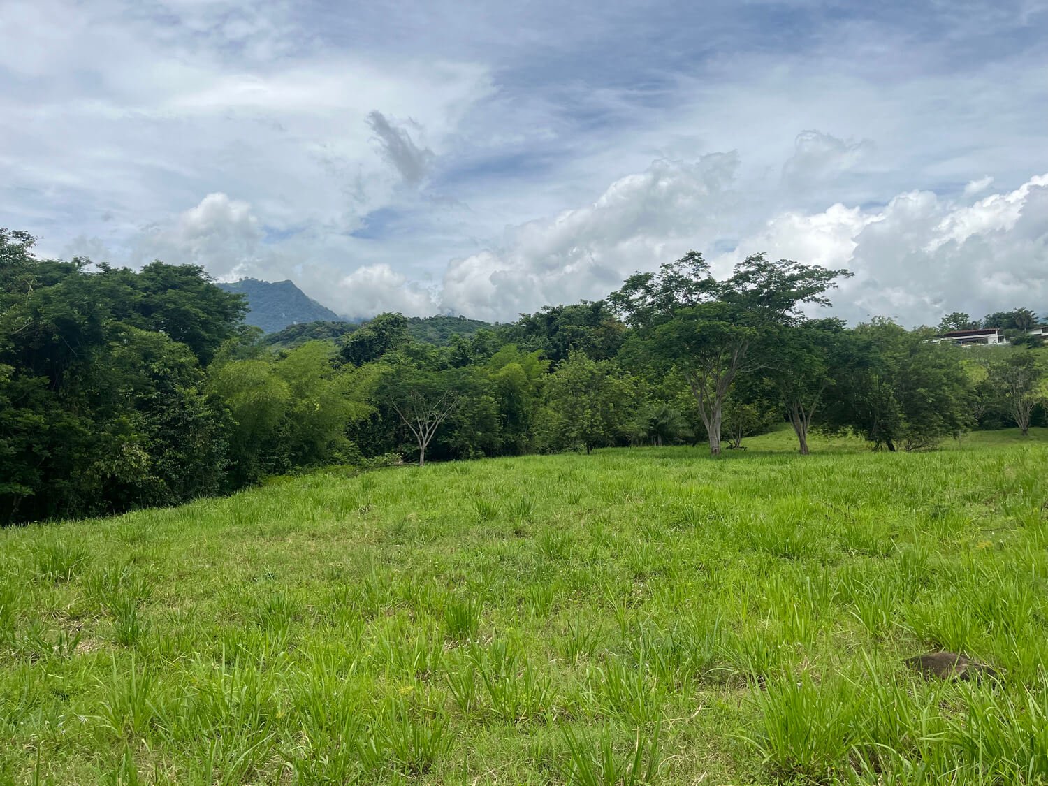 Lote Parcelación Los Búcaros