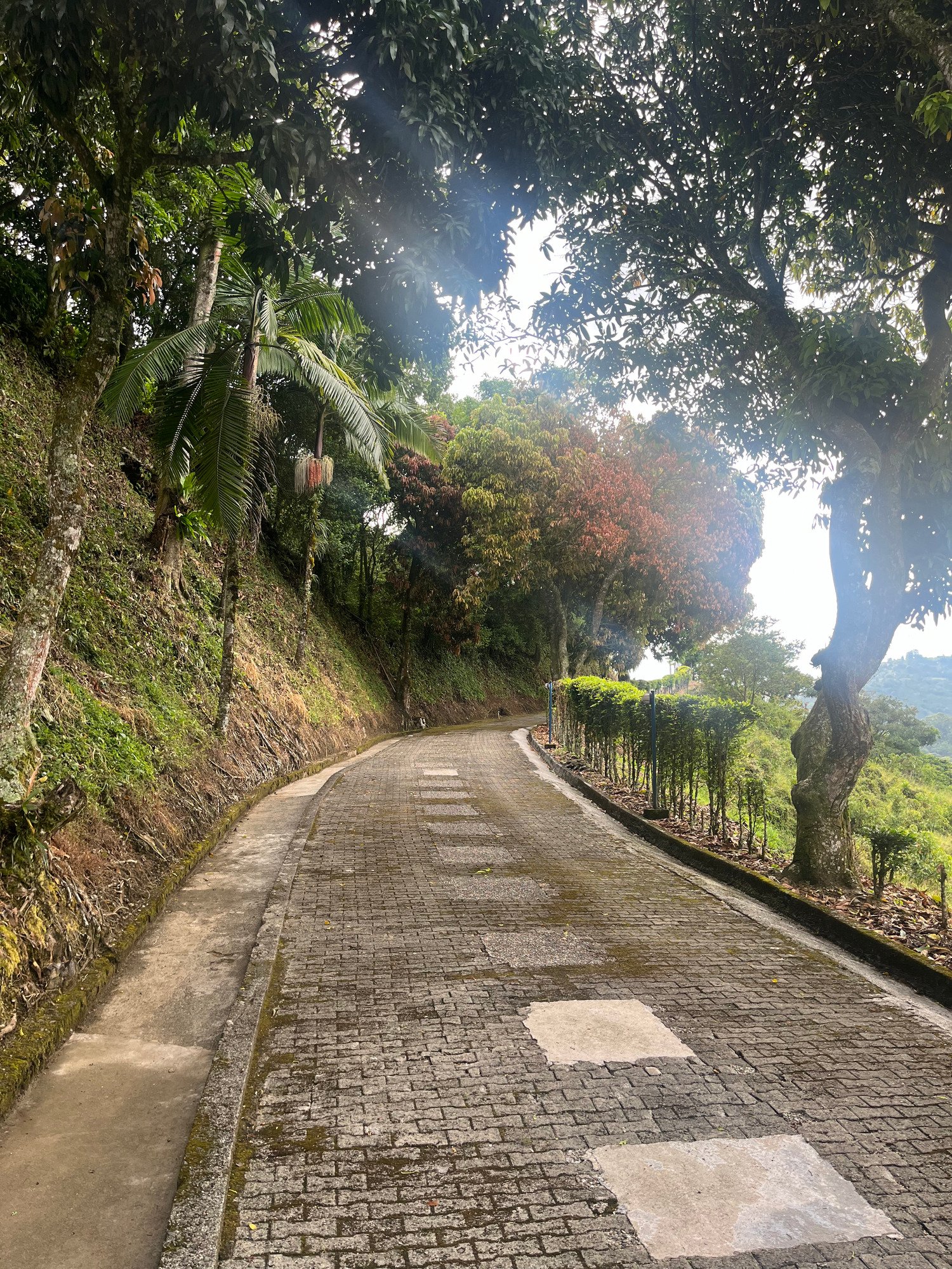 Finca en Fredonia F16