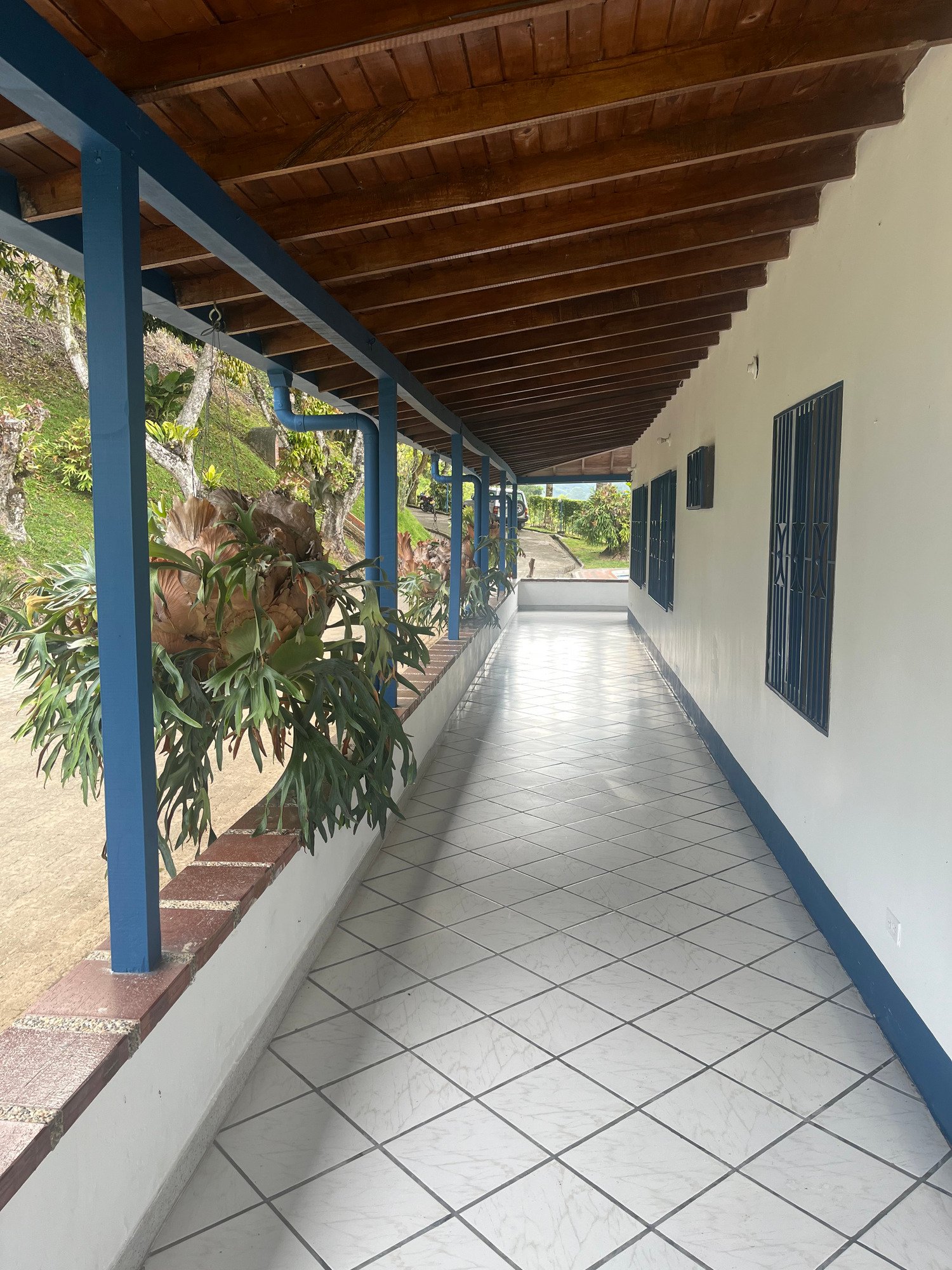 Finca en Fredonia F16
